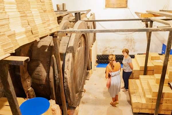tour winery on mallorca