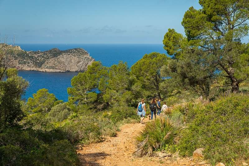 hike on San Telmo trail