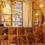 Tours of Mallorca Island
