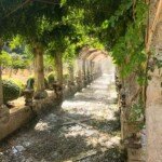 Palma de Mallorca gardens