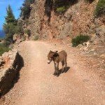 Hiking in Mallorca