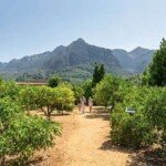 Mallorca farm