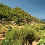 Mallorca Hills